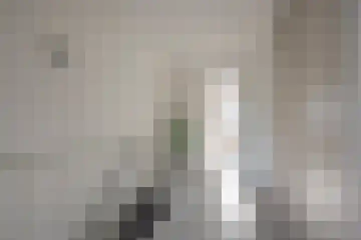 Botter 26 Nijkerk thumbnail 23