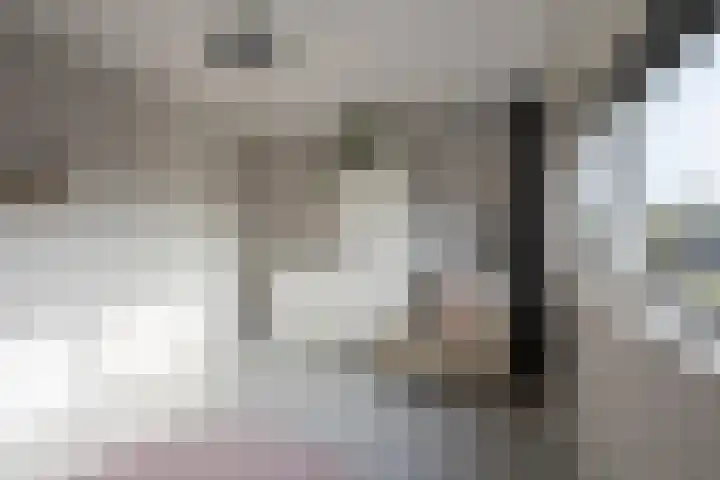 Botter 26 Nijkerk thumbnail 25