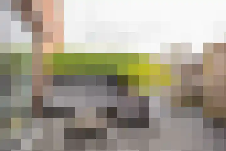 Botter 26 Nijkerk thumbnail 31