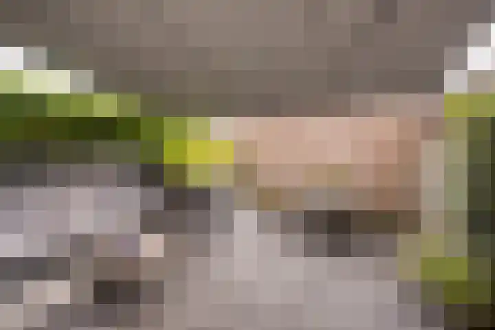 Botter 26 Nijkerk thumbnail 33