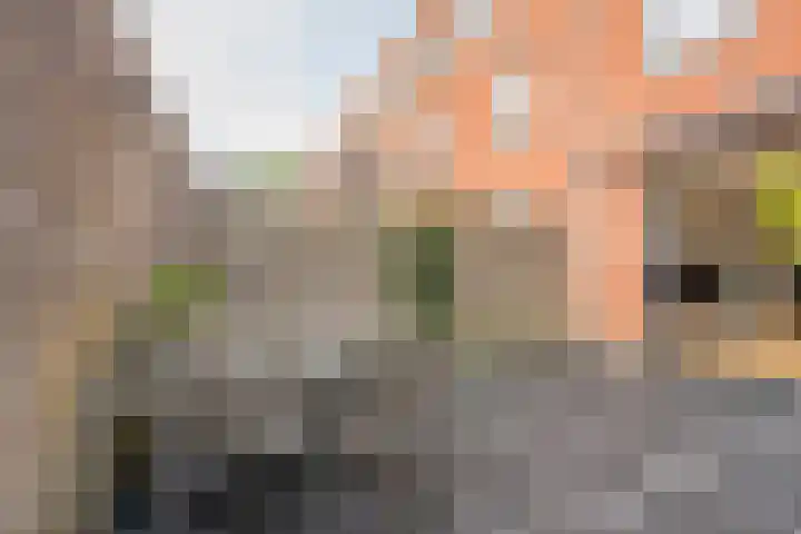 Botter 26 Nijkerk thumbnail 34