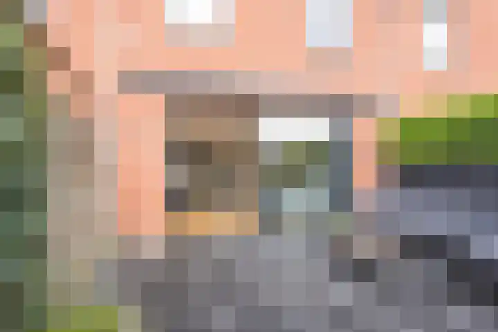Botter 26 Nijkerk thumbnail 37