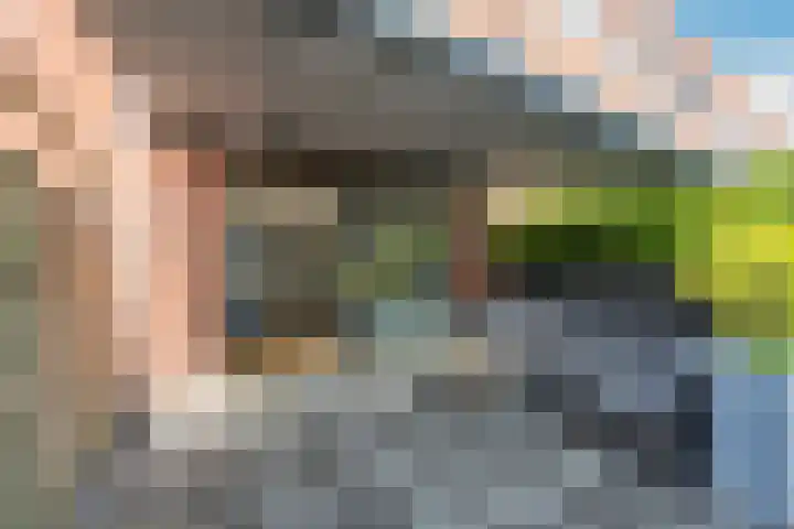 Botter 26 Nijkerk thumbnail 4