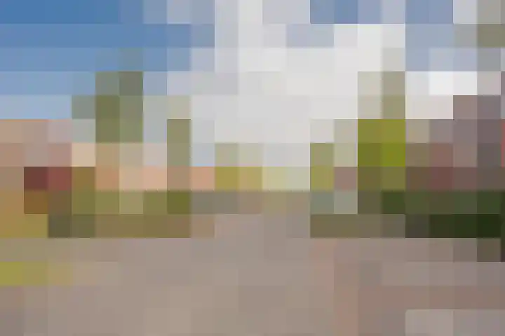 Botter 26 Nijkerk thumbnail 41