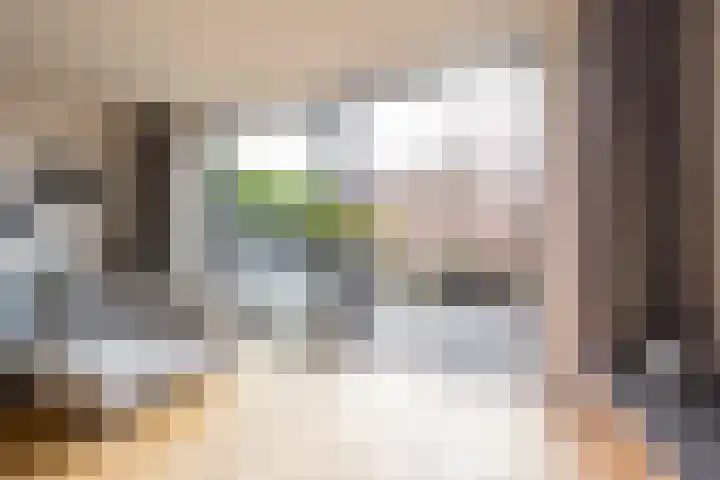 Botter 26 Nijkerk thumbnail 8