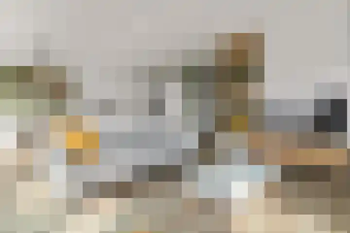 Botter 3 Alblasserdam thumbnail 12