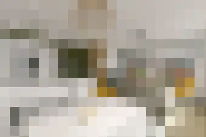 Botter 3 Alblasserdam thumbnail 16