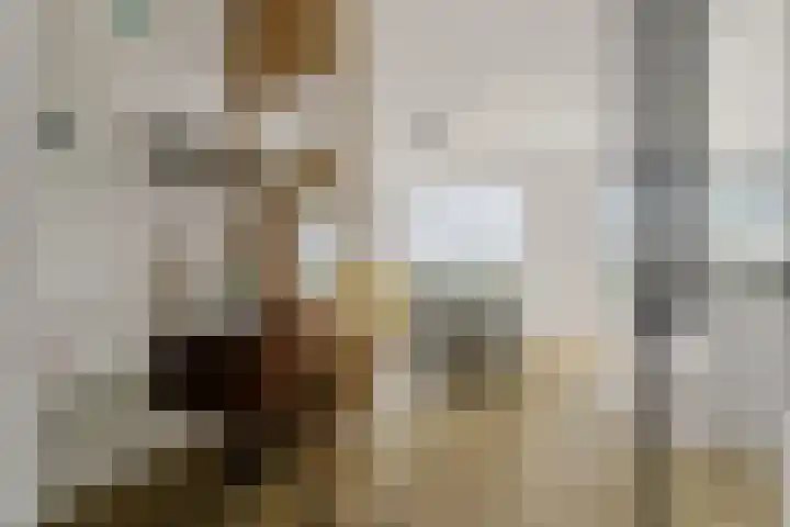 Botter 3 Alblasserdam thumbnail 17