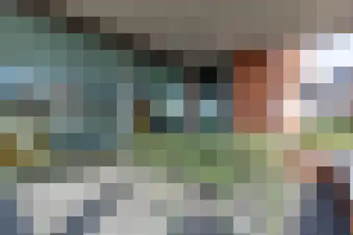 Botter 3 Alblasserdam thumbnail 19