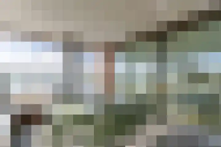 Botter 3 Alblasserdam thumbnail 20