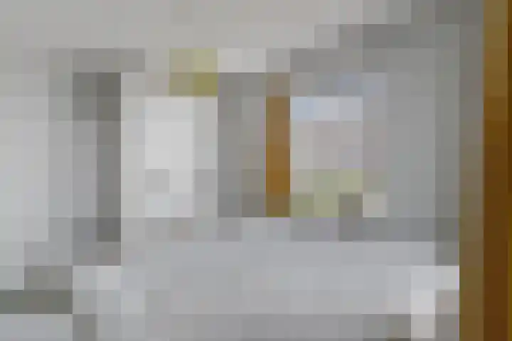 Botter 3 Alblasserdam thumbnail 24