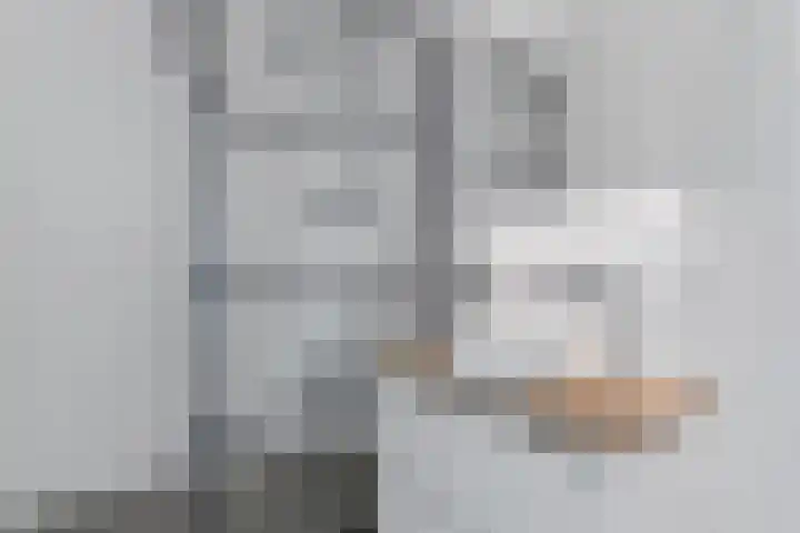 Botter 3 Alblasserdam thumbnail 25