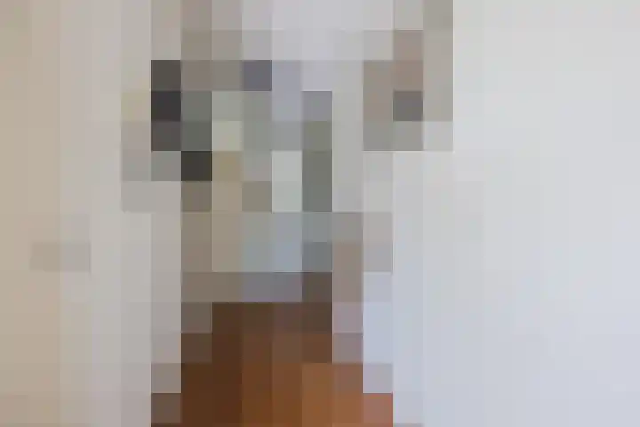 Botter 3 Alblasserdam thumbnail 26