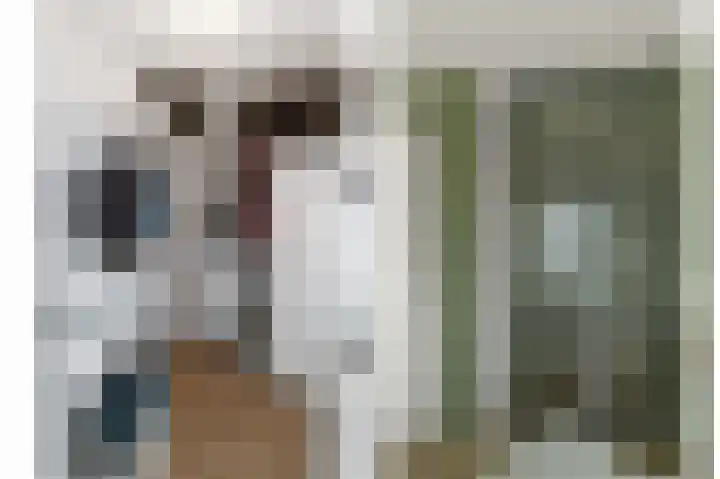 Botter 3 Alblasserdam thumbnail 28