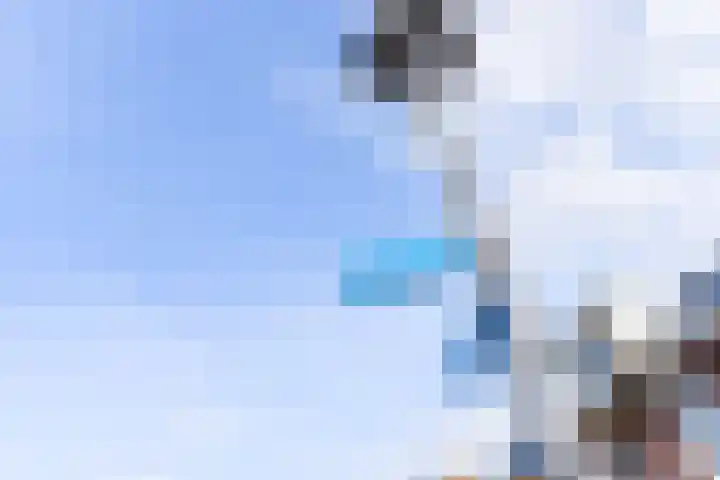 Botter 3 Alblasserdam thumbnail 32