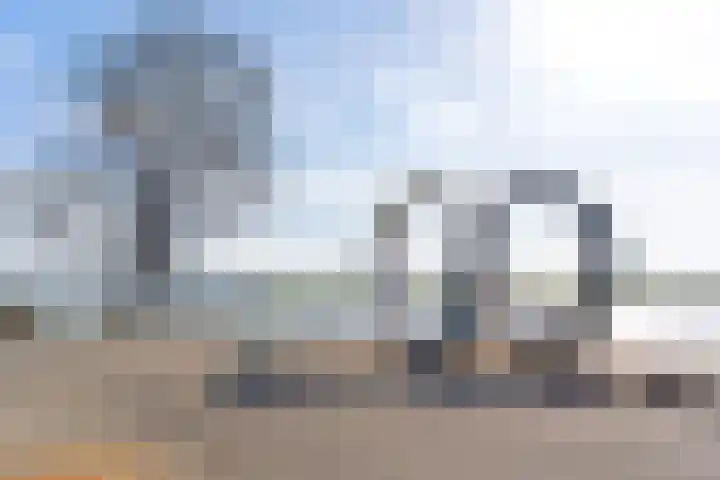 Botter 3 Alblasserdam thumbnail 33
