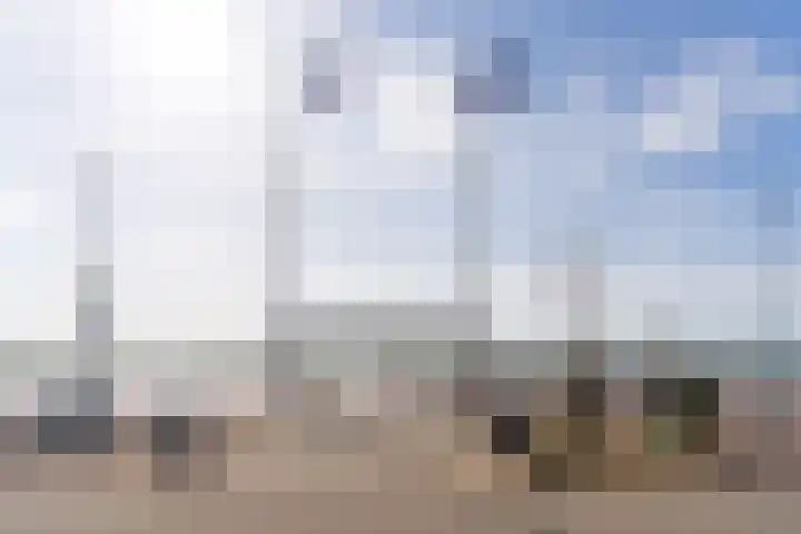 Botter 3 Alblasserdam thumbnail 35