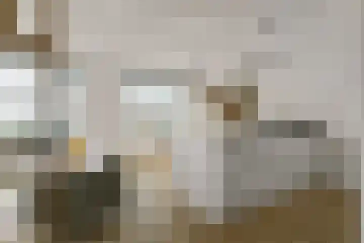 Botter 3 Alblasserdam thumbnail 9