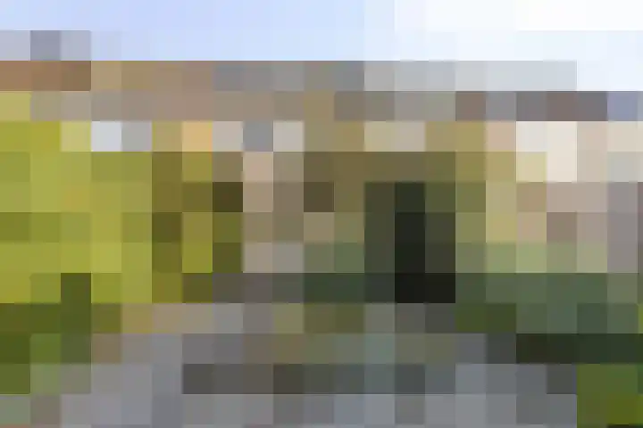 Botter 31 31 7 Lelystad thumbnail 22