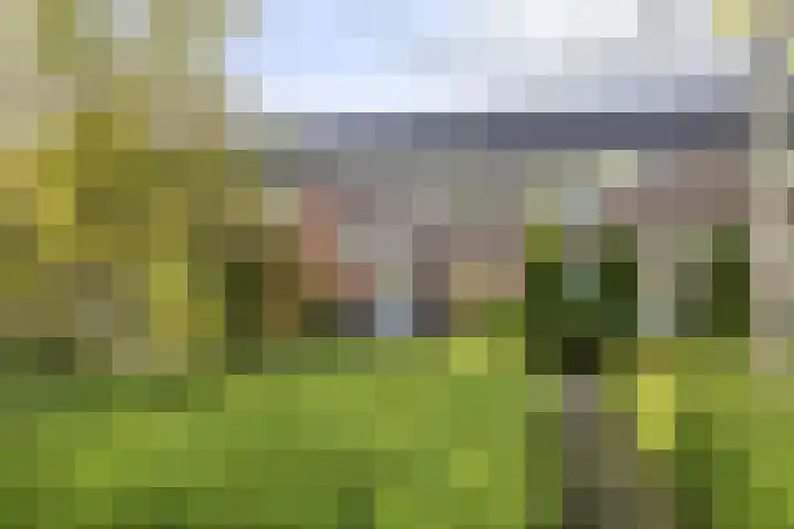 Botter 31 31 7 Lelystad thumbnail 24