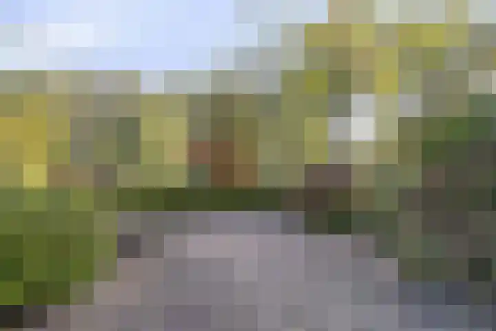 Botter 31 31 7 Lelystad thumbnail 25