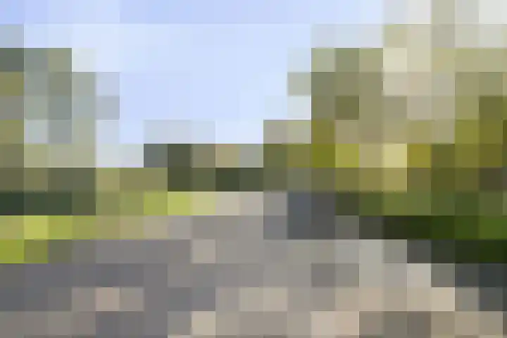 Botter 31 31 7 Lelystad thumbnail 26