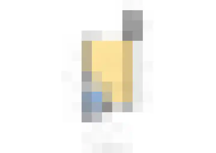 Botter 31 31 7 Lelystad thumbnail 27