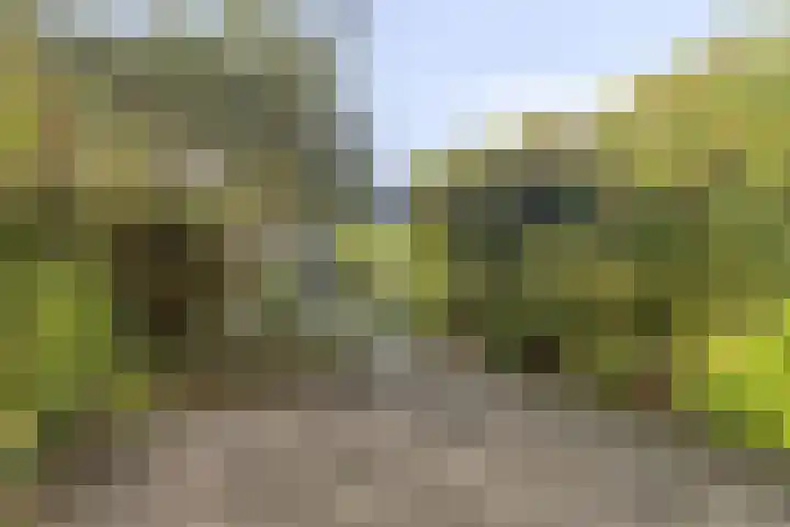 Botter 31 31 7 Lelystad foto 3