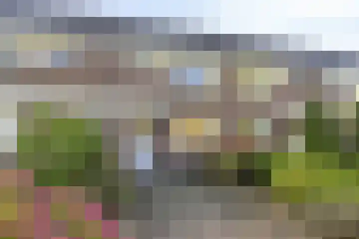 Botter 31 31 7 Lelystad thumbnail 4