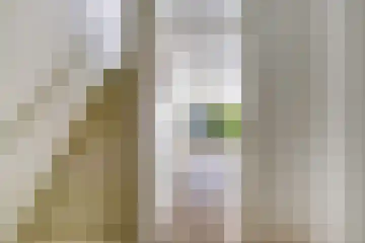 Botter 31 31 7 Lelystad thumbnail 5