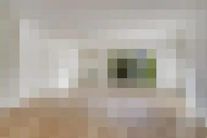 Botter 31 31 7 Lelystad thumbnail 7