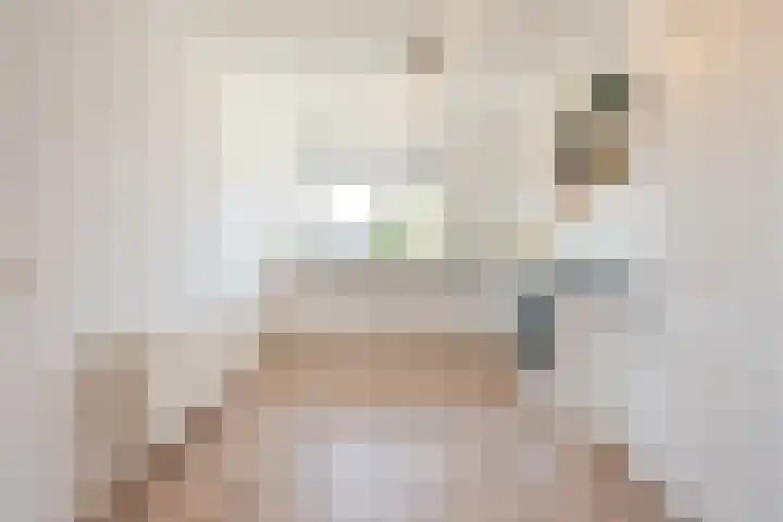 Botter 33 33 33 Lelystad thumbnail 11