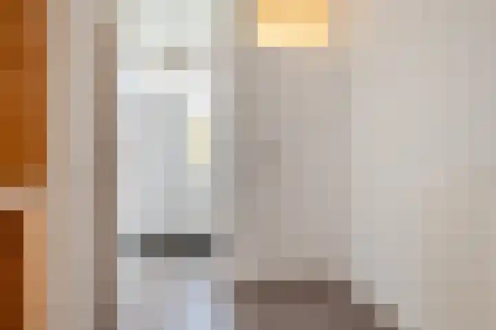 Botter 33 33 33 Lelystad thumbnail 13