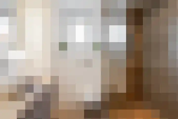 Botter 33 33 33 Lelystad thumbnail 18