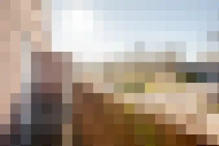 Botter 33 33 33 Lelystad thumbnail 25