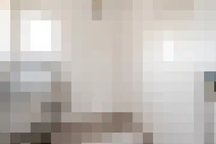 Botter 33 33 33 Lelystad thumbnail 30