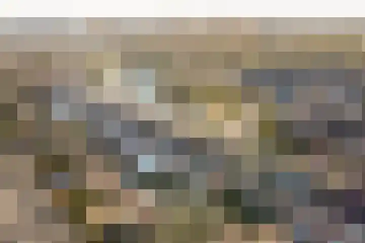 Botter 33 33 33 Lelystad thumbnail 47