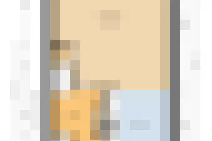 Botter 33 33 33 Lelystad thumbnail 49