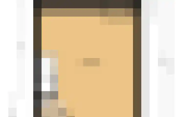 Botter 33 33 33 Lelystad thumbnail 51