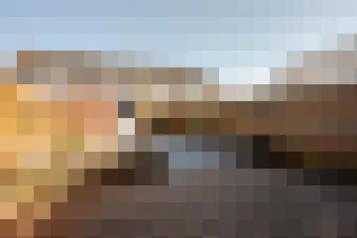Botter 33 33 33 Lelystad thumbnail 6