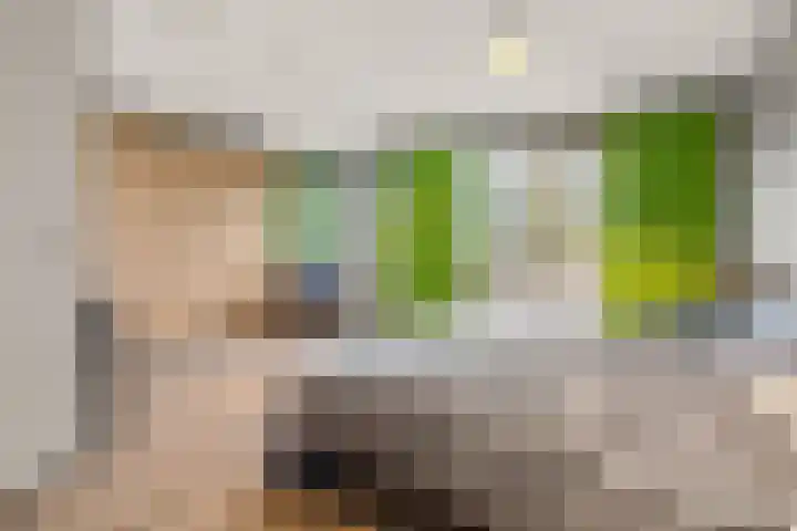 Botter 34 34 2 Lelystad thumbnail 20