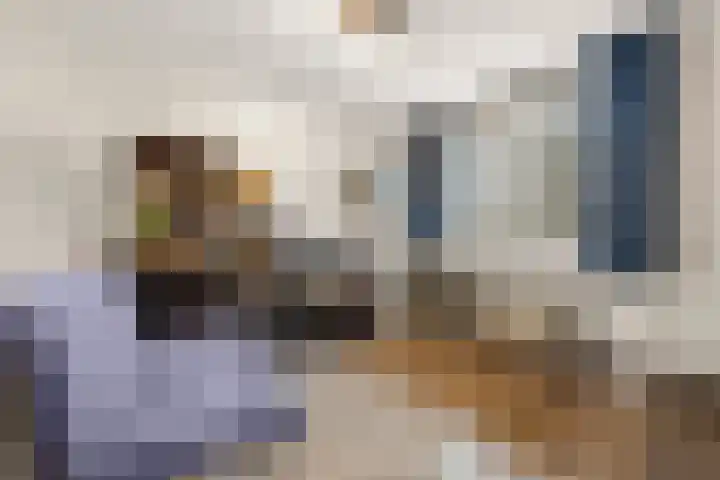 Botter 34 34 2 Lelystad thumbnail 26