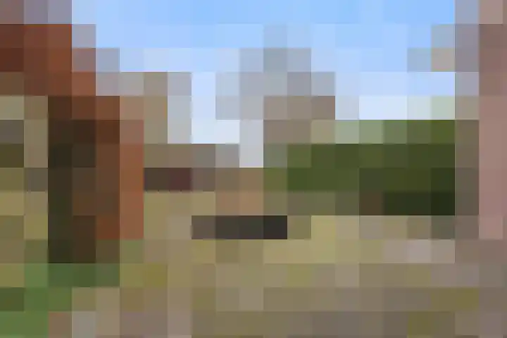 Botter 34 34 2 Lelystad thumbnail 29