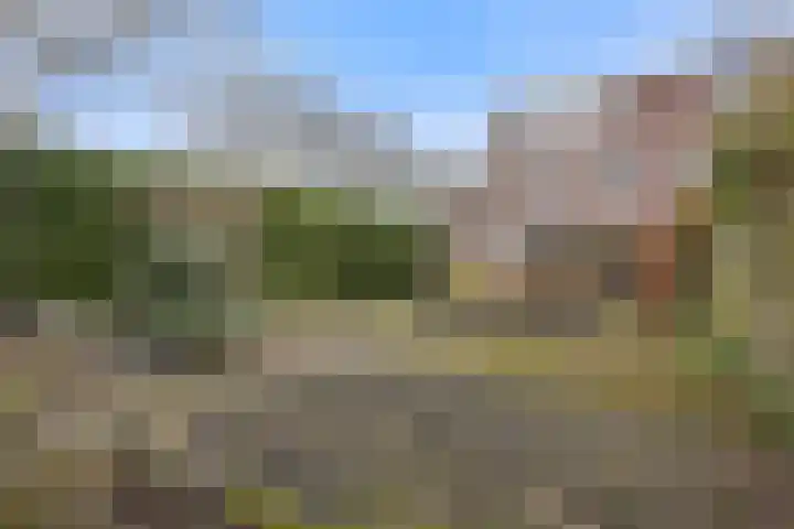 Botter 34 34 2 Lelystad thumbnail 31