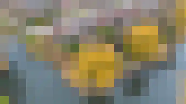 Botter 34 34 2 Lelystad thumbnail 34