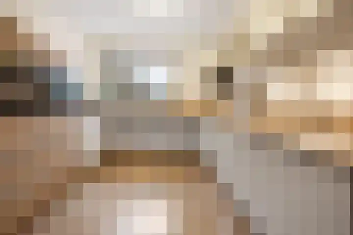 Botter 34 34 2 Lelystad thumbnail 4