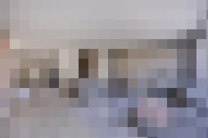 Botter 34 34 6 Lelystad thumbnail 13