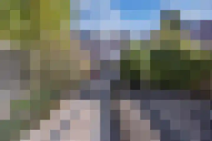 Botter 34 34 6 Lelystad thumbnail 24