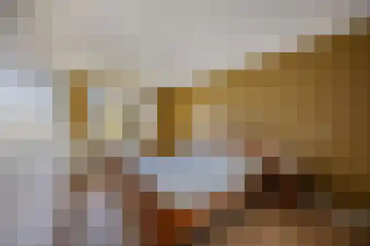 Botter 34 34 6 Lelystad thumbnail 27