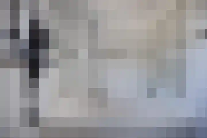 Botter 34 34 6 Lelystad thumbnail 32